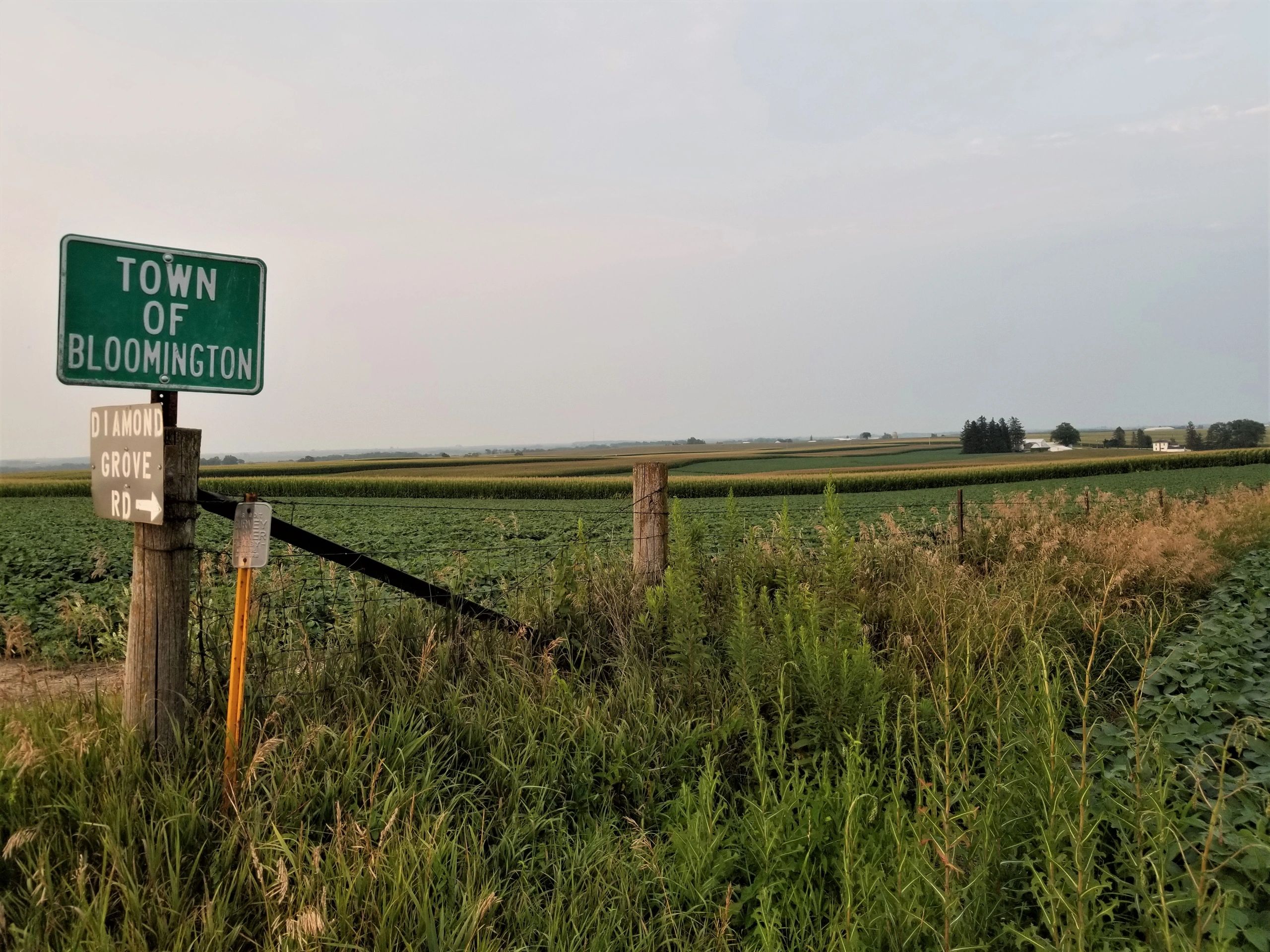 Township Bloomington Township